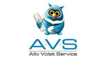 logo_AVS_STORE