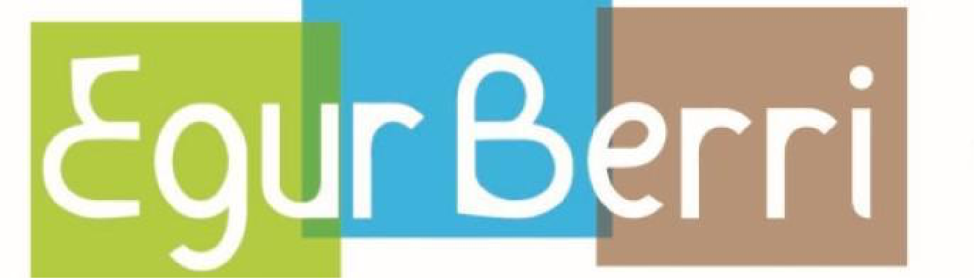 logo egur berri